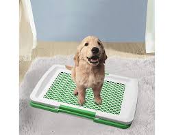 Baño Ecologico Para Mascotas !🐶