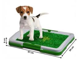 Baño Ecologico Para Mascotas !🐶